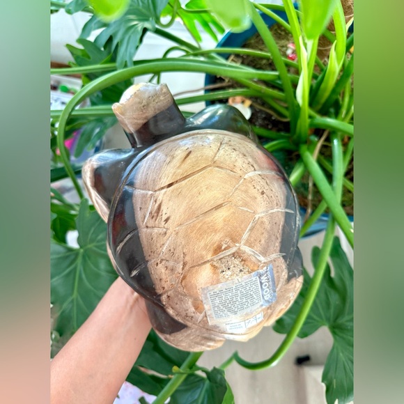 Petrified Wood Turtle - Picture 2 of 9